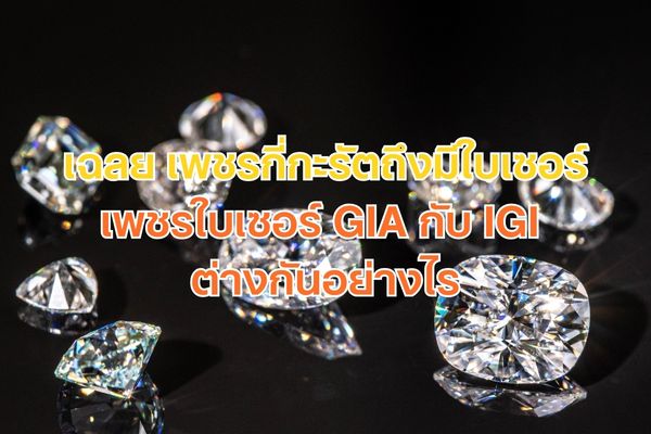 เพชร มีหลากหลายเรื่องราวที่น่าสนใจและรอให้ทุกคนค้นหาคำตอบ วันนี้เราไม่ได้จะมาพูดถึงเรื่องราวของเพชรโดยตรง แต่จะมาพูดถึงใบเซอร์ของเพชร ซึ่งบอกเลยว่ามีความสำคัญมากๆ รู้หรือไม่ เพชรกี่กะรัตถึงมีใบเซอร์และเพชรใบเซอร์ GIA กับ IGI แตกต่างกันอย่างไร เรื่องนี้สำคัญมากๆ โดยเฉพาะมือใหม่บอกเลยว่าเป็นความรู้พื้นฐานที่ควรรู้ไว้