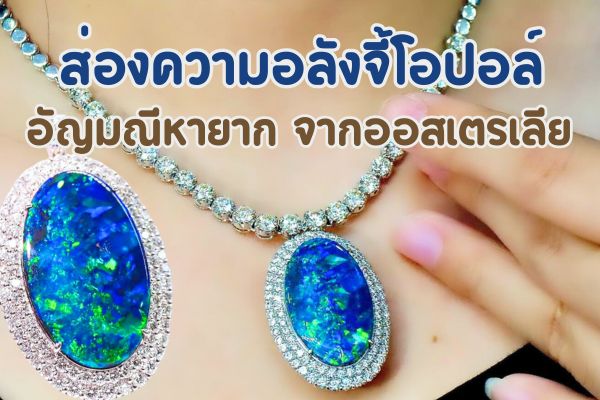 Australia Black Opal นี่คืออัญมณีที่หายาก สวยงามตระการตา สะกดทุกสายตาให้หลงใหล ถือเป็นอัญมณีที่หายากและงดงามมีเอกลักษณ์จากออสเตรเลีย ซึ่งร้านเพชรชมพูจิวเวลรี่ของเรา ขอนำเสนอ .จี้โอปอลล์ประดับเพชร” ชิ้นนี้ บอกเลยว่าถือเป็นการส่งท้ายปีเก่าต้อนรับปีใหม่ที่พิเศษสุด เพราะลดราคาจาก 990,000 บาทเหลือเพียง 690,000 บาทเท่านั้น หั่นราคาแบบจุใจ ไม่มีใครใจกล้าลดเยอะได้เท่านี้อีกแล้ว  Australia Black Opal เหมาะสำหรับการส่งมอบเป็นของขวัญชิ้นพิเศษหรือของขวัญปีใหม่ให้กับคนพิเศษ