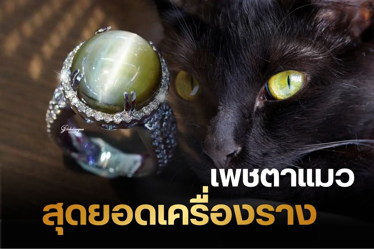 หนึ่งในอัญมณีที่มีชื่อเสียงโด่งดังและมีชื่อที่น่าสนใจ พร้อมไปด้วยมูลค่าที่สูงมากอย่างเพชรตาแมว ยังคงเป็นความลี้ลับที่ทำให้ใครหลาย ๆ คนอาจเข้าใจผิดในเรื่องของชื่อ เพราะมีความเชื่อว่าแมวที่มีสีตาแปลกจะให้เพชรตาแมวหลังตายแล้ว  แต่ในความเป็นจริง คือ กลุ่มแร่คริโซเบริลที่จะมีลักษณะของสีกับลายคล้ายแก้วตาแมว นอกจากนี้ยังเป็นการเรียกอาการของโรคที่เกี่ยวกับต้อกระจกแมวอีกด้วย