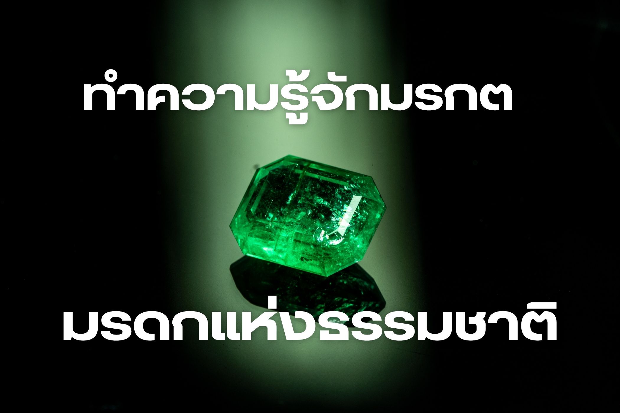 มรกตเป็นหนึ่งในมรดกทางธรรมชาติที่ให้ความสวยงามและมีราคาสูงในตลาดอัญมณี ด้วยสีสันและเนื้อของมรกตที่สดใสวาววับ เมื่อนำมาทำเครื่องประดับต่าง ๆ แล้วสามารถเพิ่มมูลค่าได้เป็นอย่างดี ที่สำคัญคือความเชื่อตั้งแต่โบราณที่มีสืบทอดกันมาว่ามรกตนั้นจะเสริมดวงในด้านต่าง ๆ ทั้งการเงิน, การงาน และการใช้ชีวิตอย่างครบถ้วนทุกด้าน ดังนั้นจึงกลายมาเป็นหนึ่งในอัญมณีที่น่าจับตามอง เพราะทรงคุณค่าเป็นอย่างมาก