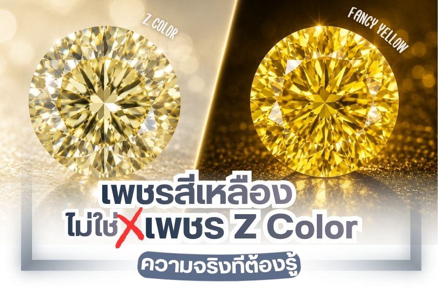 A D Color diamond, often referred to as a “colorless diamond” or the highest-grade white diamond, is a gemstone many people dream of owning. Some are willing to pay a premium price to possess the purest and whitest diamond available.