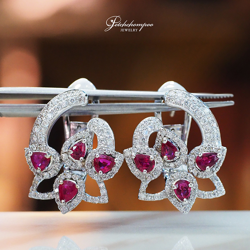 [28853] Rudy and diamond earring  89,000 