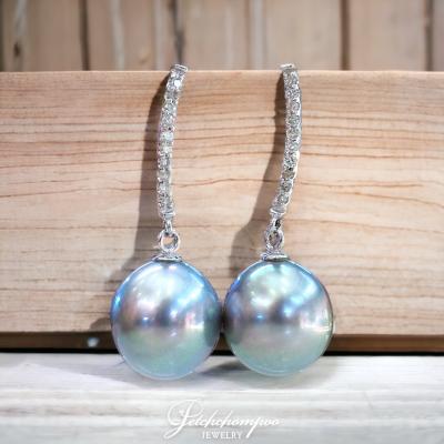 [021428] South Sea Pearl Earrings  29,000 